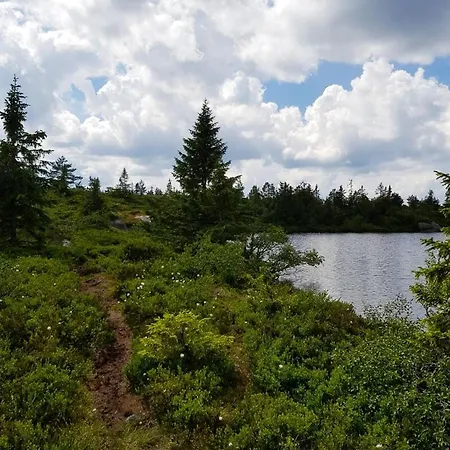 Charming Small At The Of Blefjell *