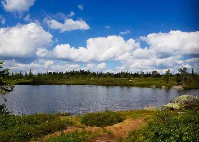 Charming Small At The Of Blefjell