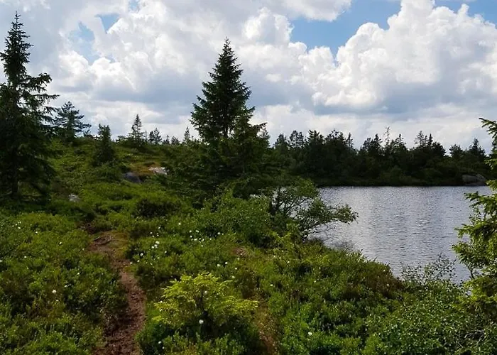 Charming Small At The Of Blefjell *
